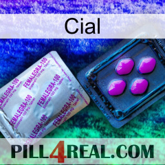 Cial 37